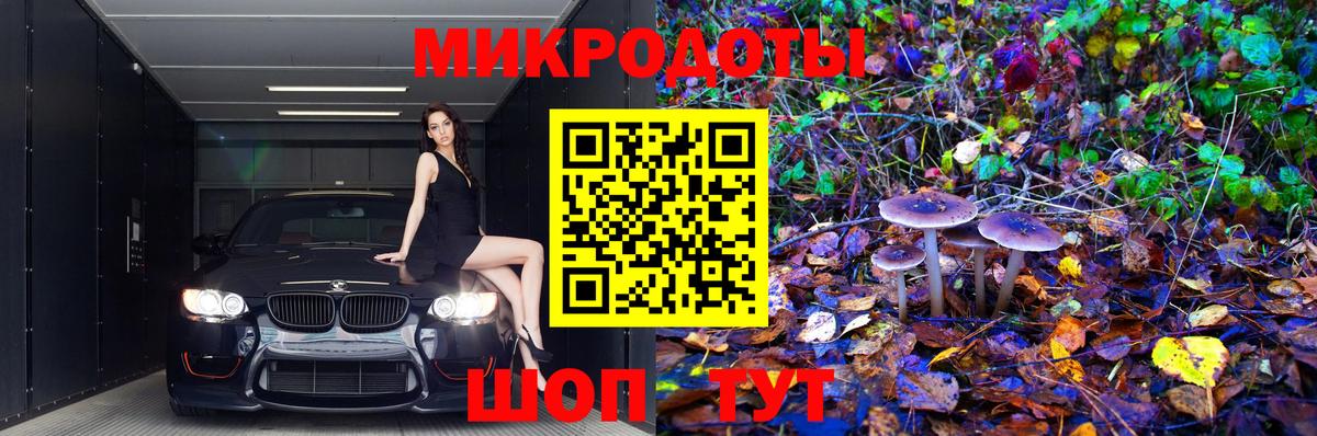 Галлюциногенные грибы Psilocybe  Вход с VPN  Чайковский 